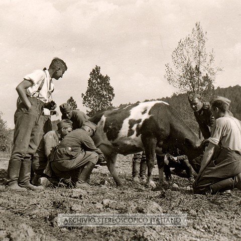 campagna_ovest_foto_064.jpg