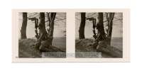 campagna_ovest_stereo_016_small.jpg